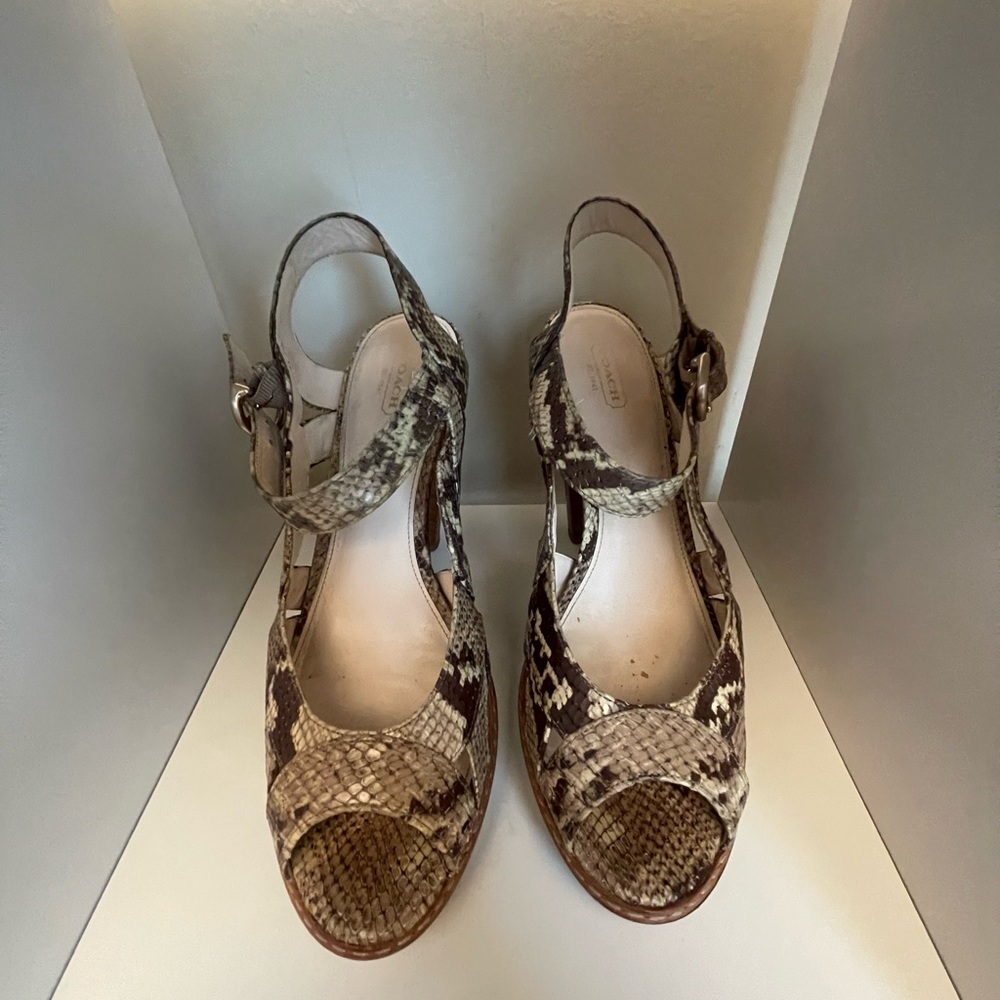 Snakeskin COACH Heels